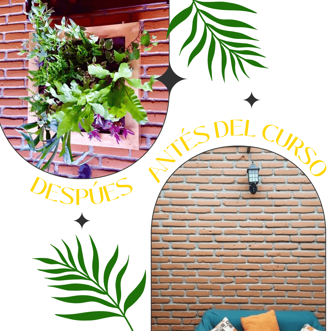 Antes y después, proyecto 1