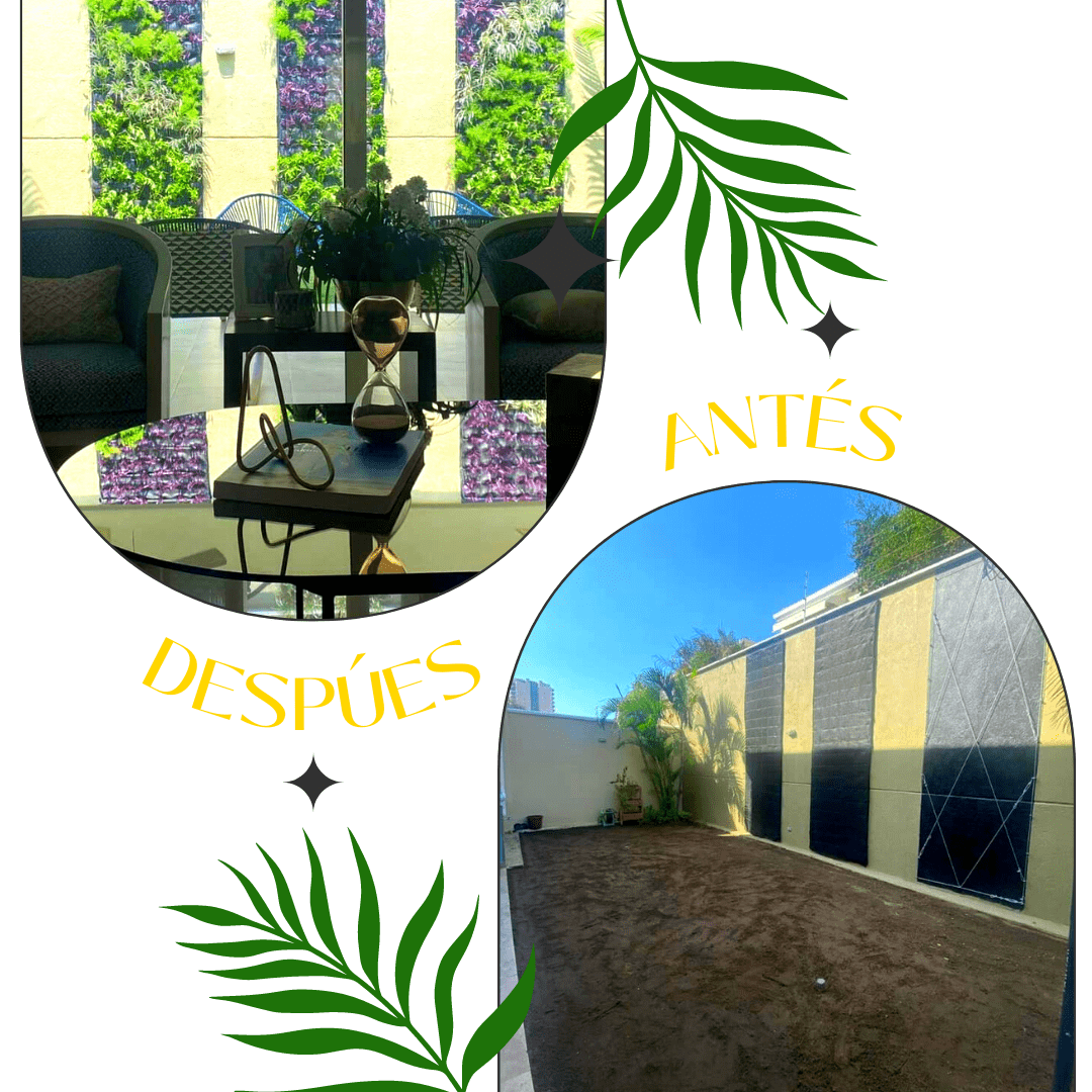 Antes y después, proyecto 5
