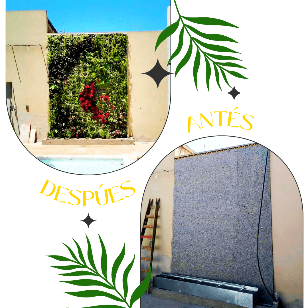 Antes y después, proyecto 3