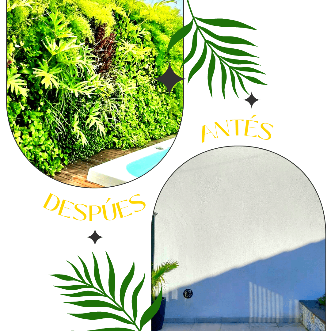 Antes y después, proyecto 8