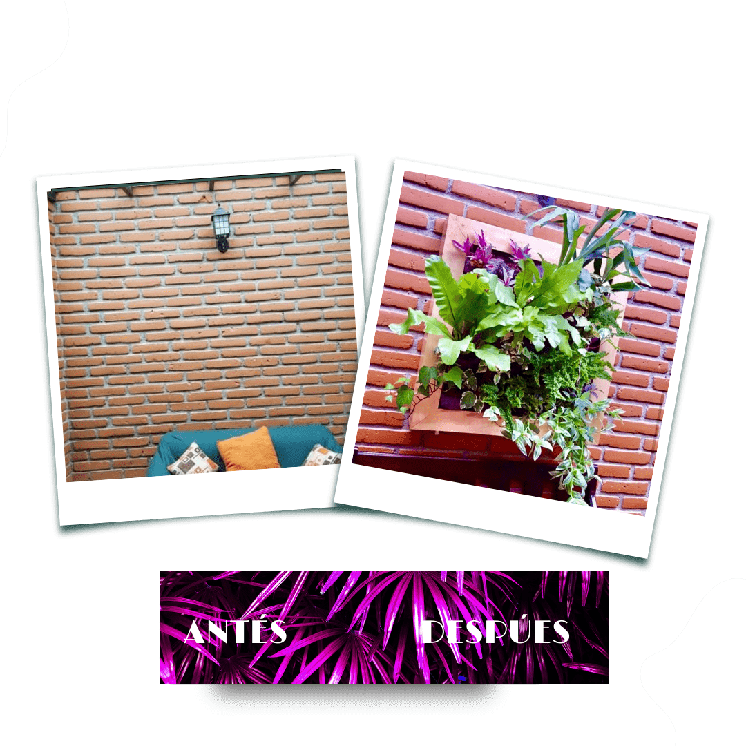 Antes y después, proyecto 10