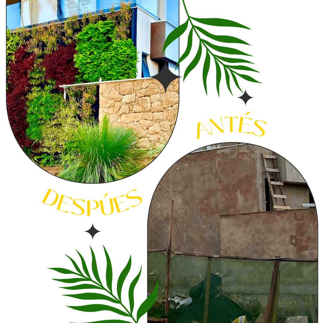 Antes y después, proyecto 6