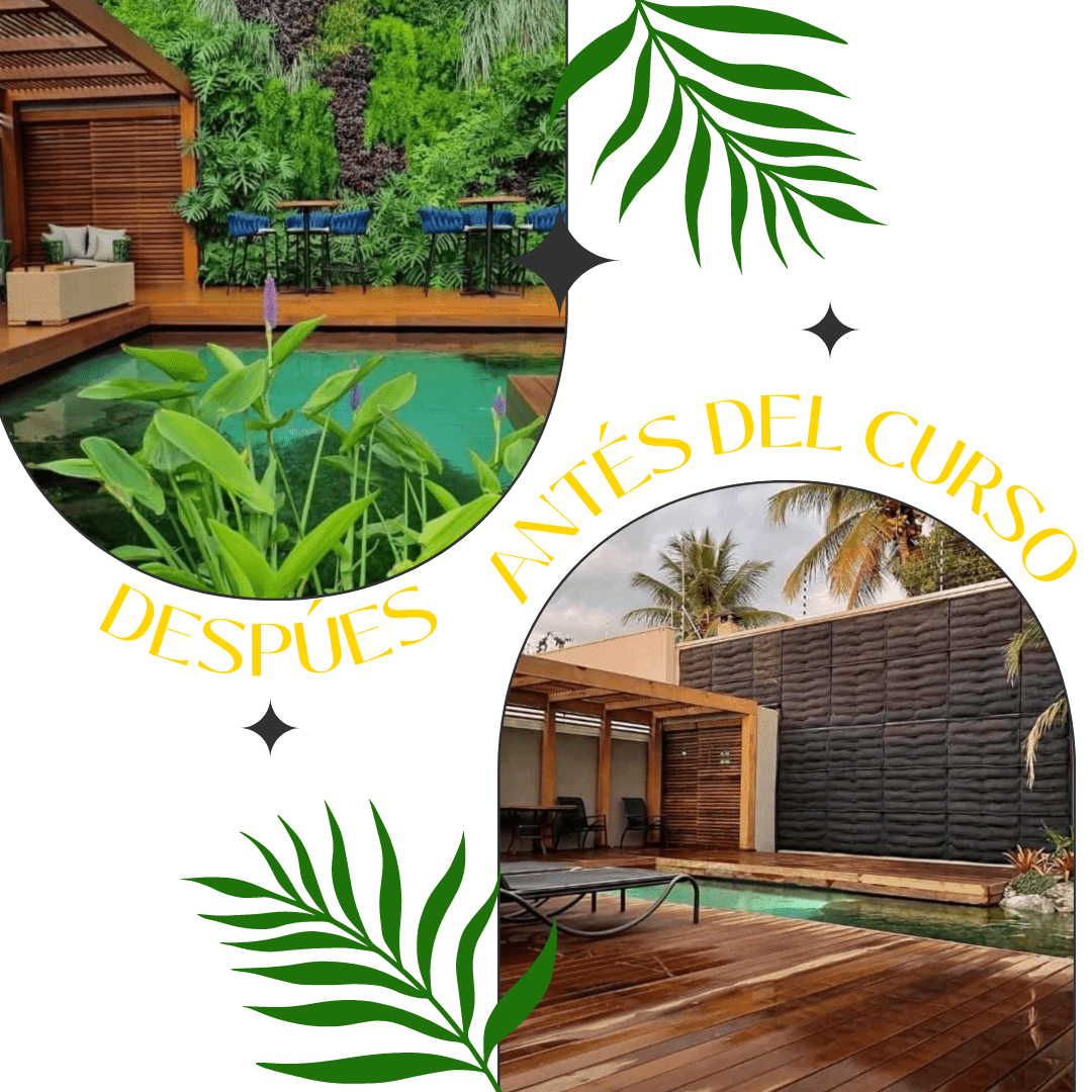 Antes y después, proyecto 2